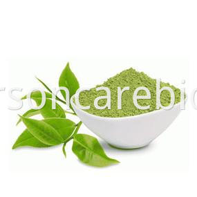 Green Tea Extract